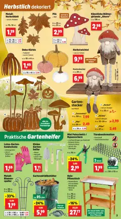 Thomas Philipps Prospekt - gültig ab dem 18.08.2025 | Seite: 3 | Produkte: Blumen, Handschuhe