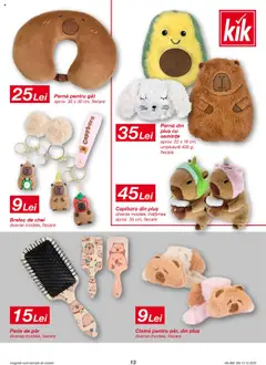 Ofertele Kik valabile de la 13.10.2025 | Pagină: 13 | Produse: Perie de păr, Pernă, Perie, Semințe