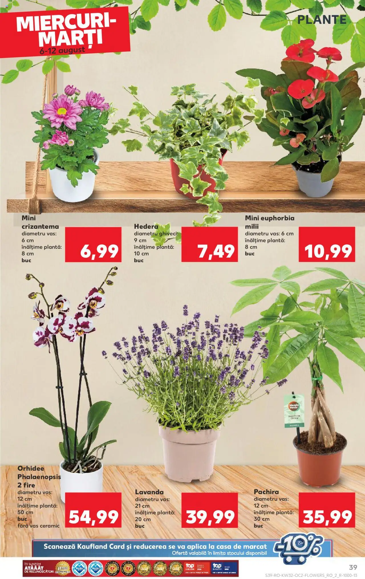 Catalog Kaufland - Tulcea – valabil de la 06.08.2025 | Pagină: 39 | Produse: Orhidee, Ghiveci