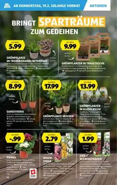 Aldi Aktionen ab 19.02.2026 gültig | Seite: 19