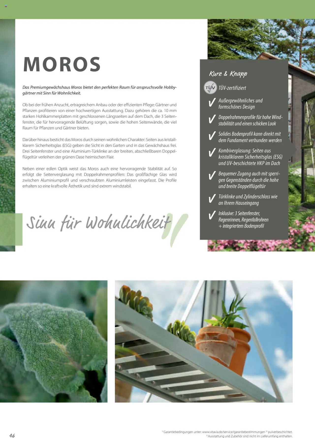 Dehner EPH – Gärtnern & Leben gültig ab 30.12.2024 | Seite: 46