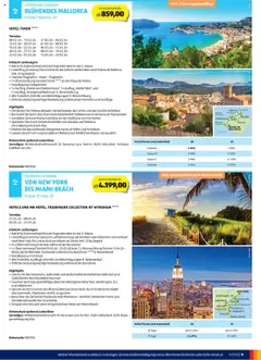 Hofer AT Katalog - amely érvényes a következő dátumtól: 01.10.2025 | Oldal: 11