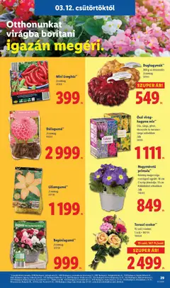 Lidl akciós újság - amely érvényes a következő dátumtól: 12.03.2026 | Oldal: 29
