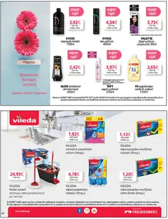  | Σελίδα: 36 | Προϊόντα: Αφρός μαλλιών, Σφουγγαρίστρα, Σαμπουάν, Βαφή  μαλλιών