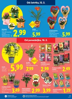 Lidl katalog akcije – veljaven od 12.02.2026 | Stran: 17 | Izdelki: Šopek