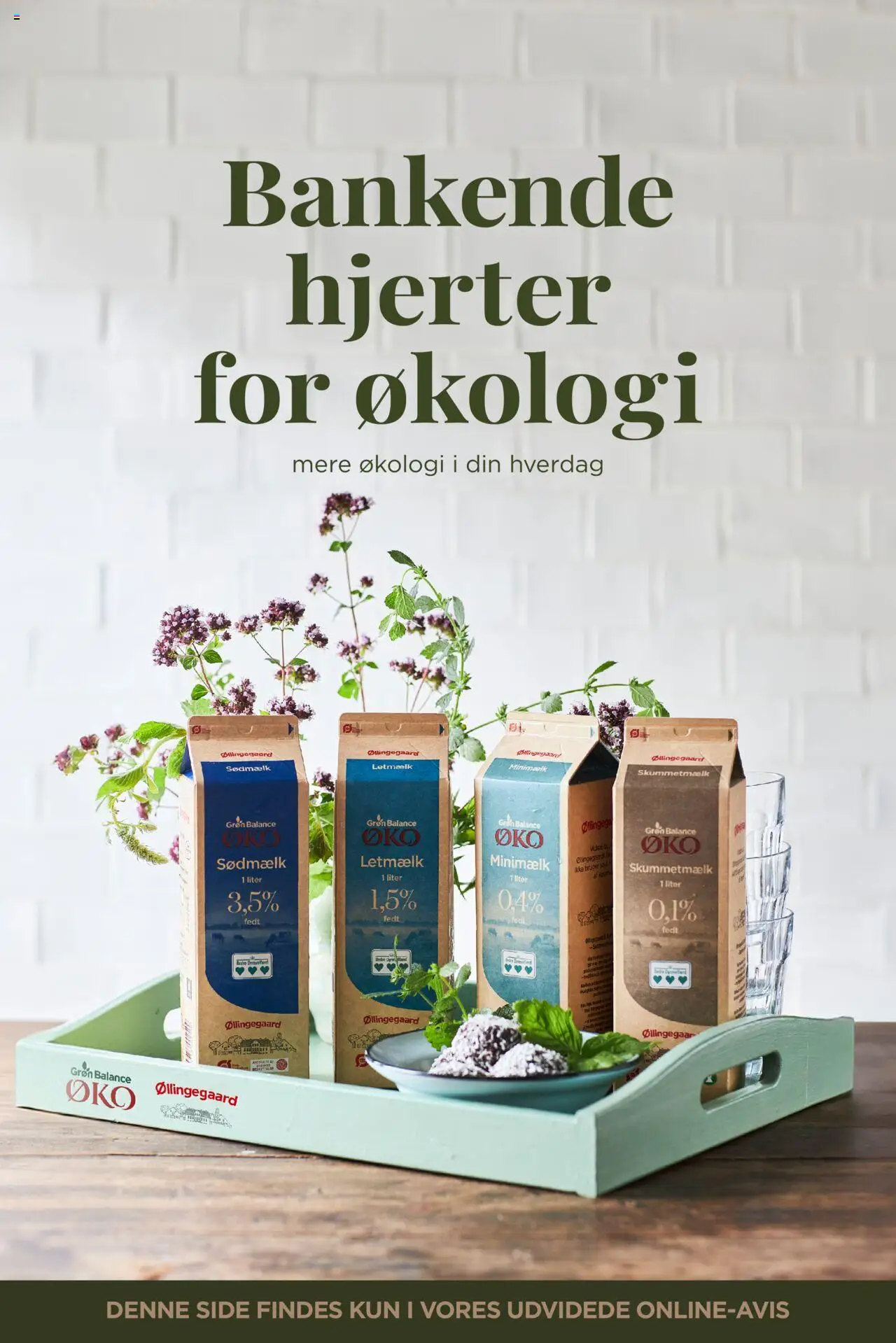 Meny tilbudsavis – gyldig fra 19.09.2025 | Side: 14 | Produkter: Jogo de ferramentas