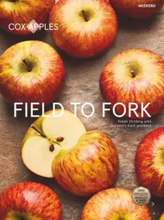 Preview of Tesco - Tesco Magazine - October 2025 valid from 01.10.2025 | Page: 21 | Products: Fork, Apples