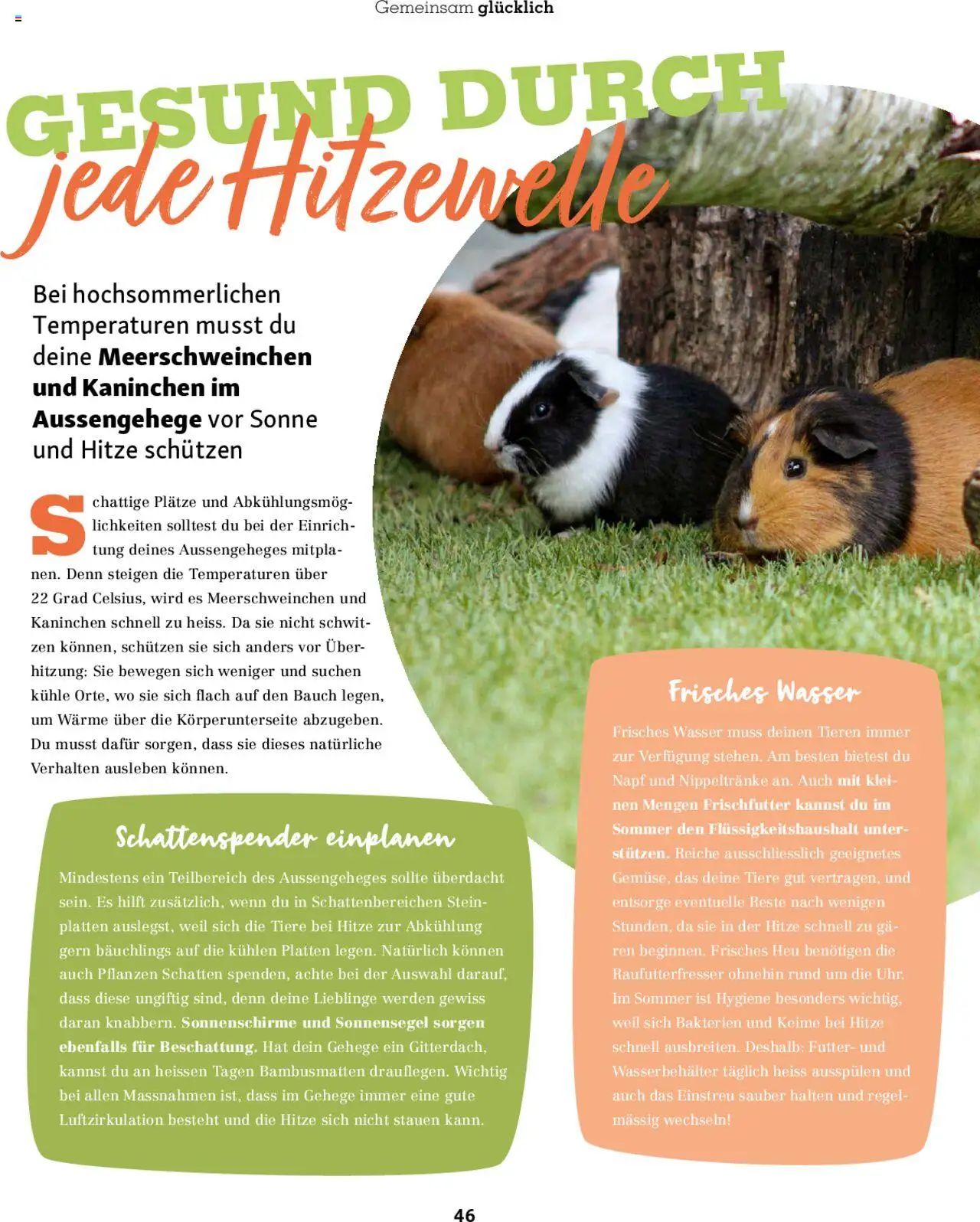 Fressnapf Magazin ab 01.07.2025 | Seite: 46 | Produkte: Wasser
