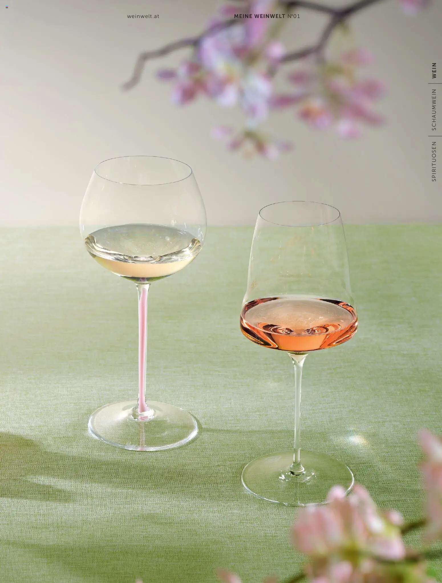 Interspar Meine Weinwelt Frühling 2026 gültig ab 05.03.2026 | Seite: 7 | Produkte: Wein