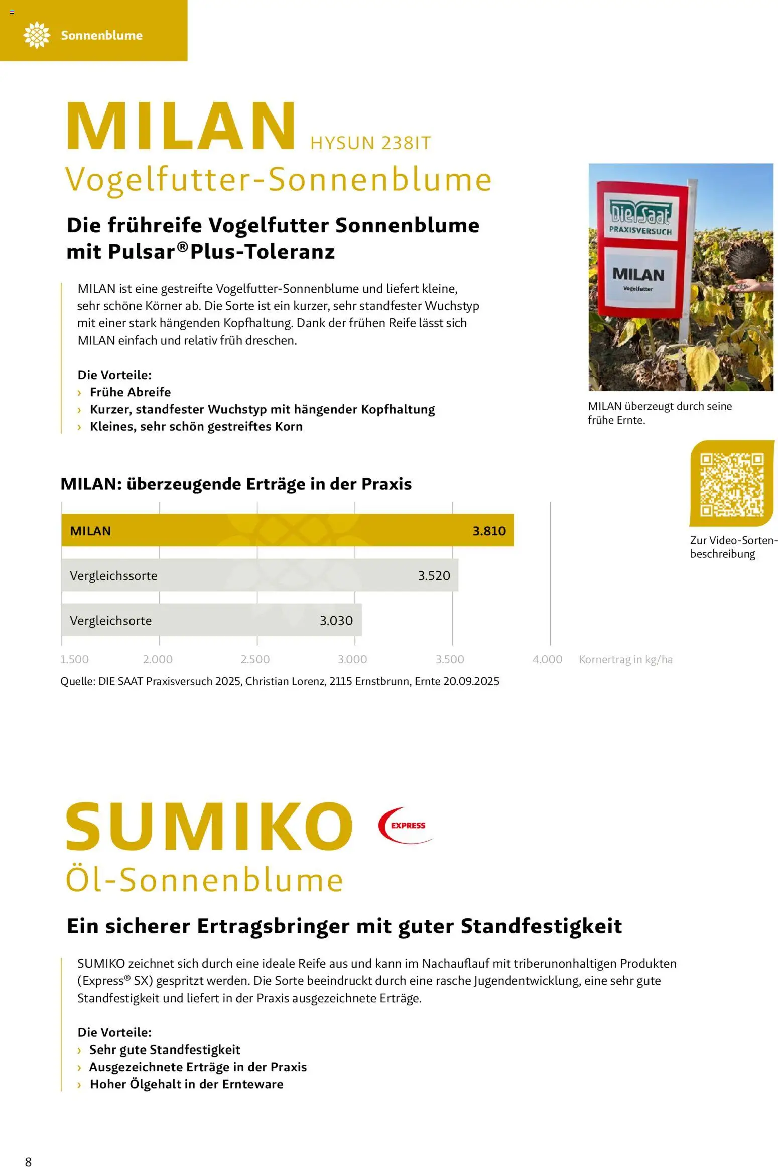 Lagerhaus - Frühjahr 2026 Östliches  Niederösterreich gültig ab 01.03.2026 | Seite: 8