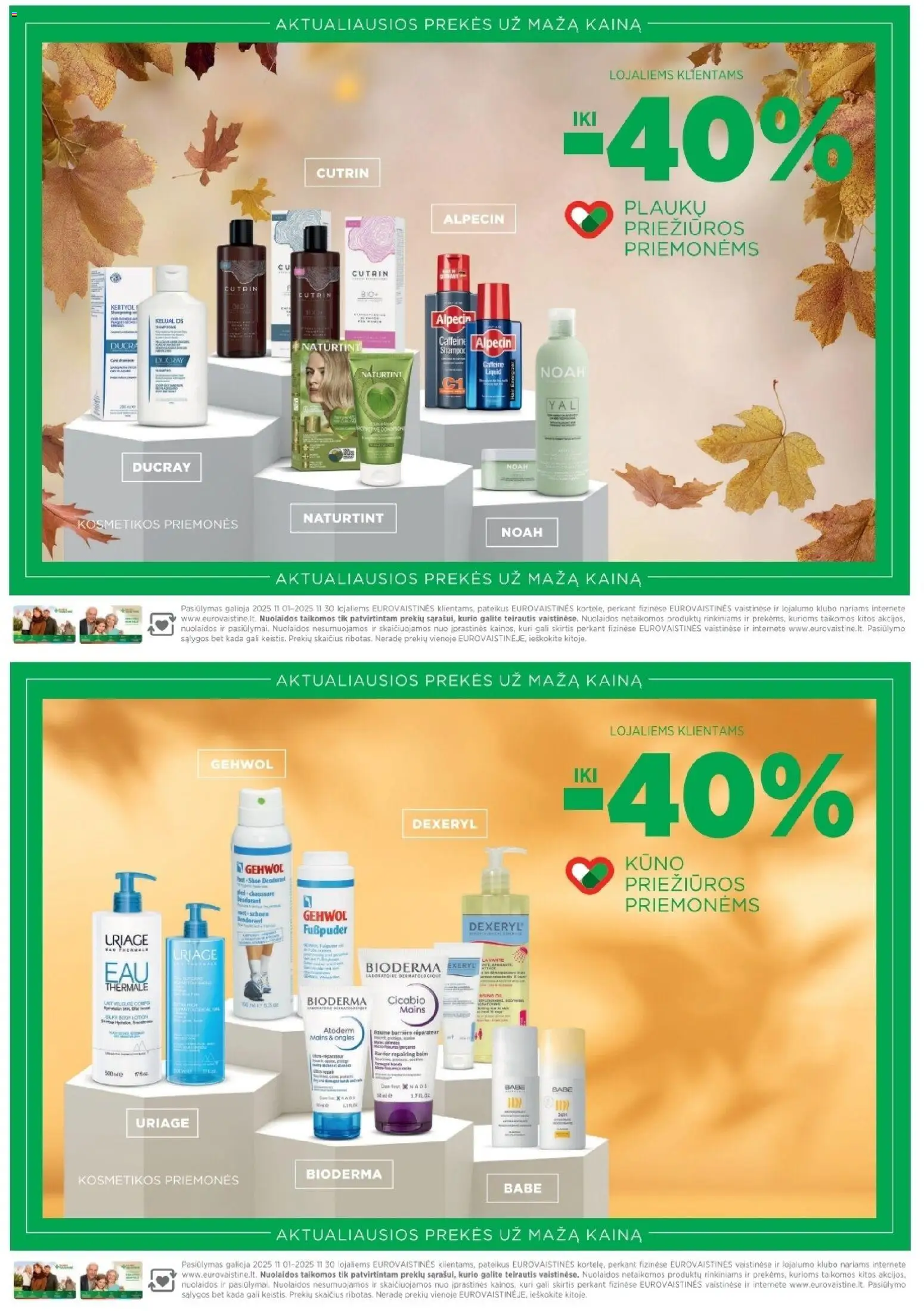 EUROVAISTINĖ akcijos nuo 01.11.2025 | Puslapis: 31