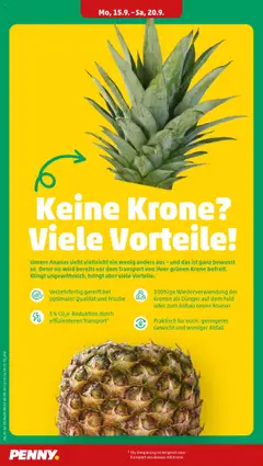 Penny Prospekt 	 – gültig ab 15.09.2025 | Seite: 4 | Produkte: Gewicht, Ananas