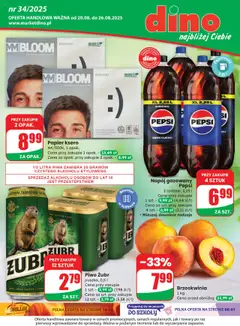 Pogląd oferty "Dino Gazetka" - ważna od 20.08.2025