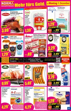 Norma Flugblatt ab 01.12.2025 gültig | Seite: 11