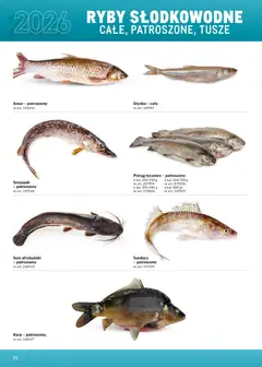 Pogląd oferty "Makro Gazetka - Ultra fresh" - ważna od 01.03.2026 | Strona: 70 | Produkty: Pstrąg tęczowy, Karp, Pstrąg, Ryby