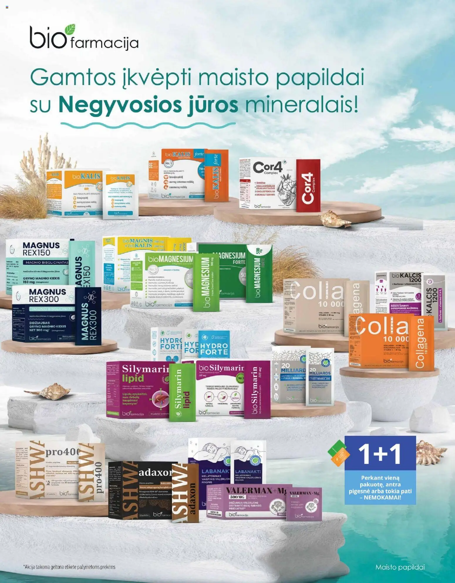 Gintarinė akcijos nuo 01.02.2026 | Puslapis: 2