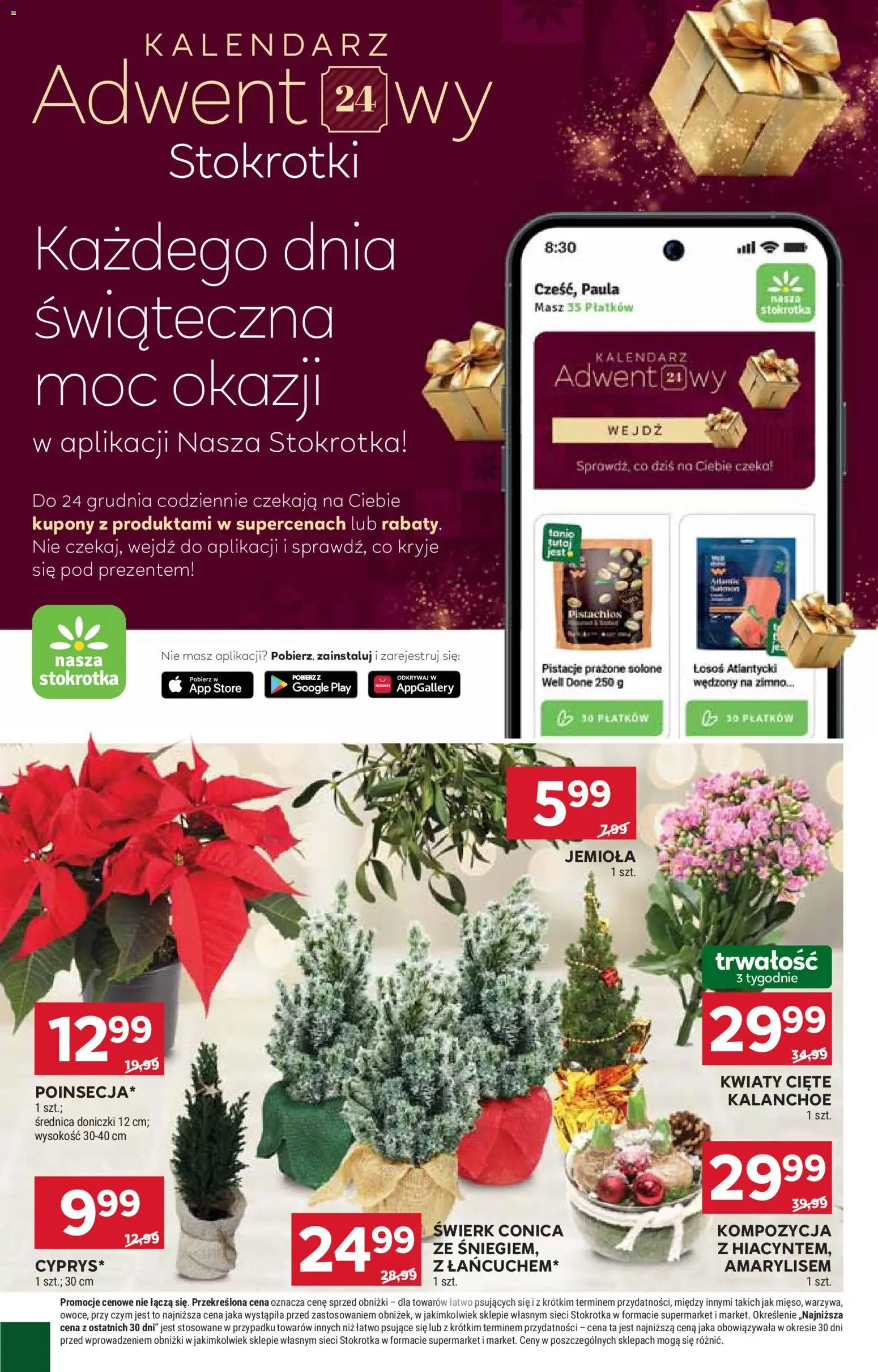 Stokrotka Gazetka od 11.12.2025 | Strona: 26 | Produkty: Kwiaty cięte, Kalendarz, Kalanchoe, Kwiaty