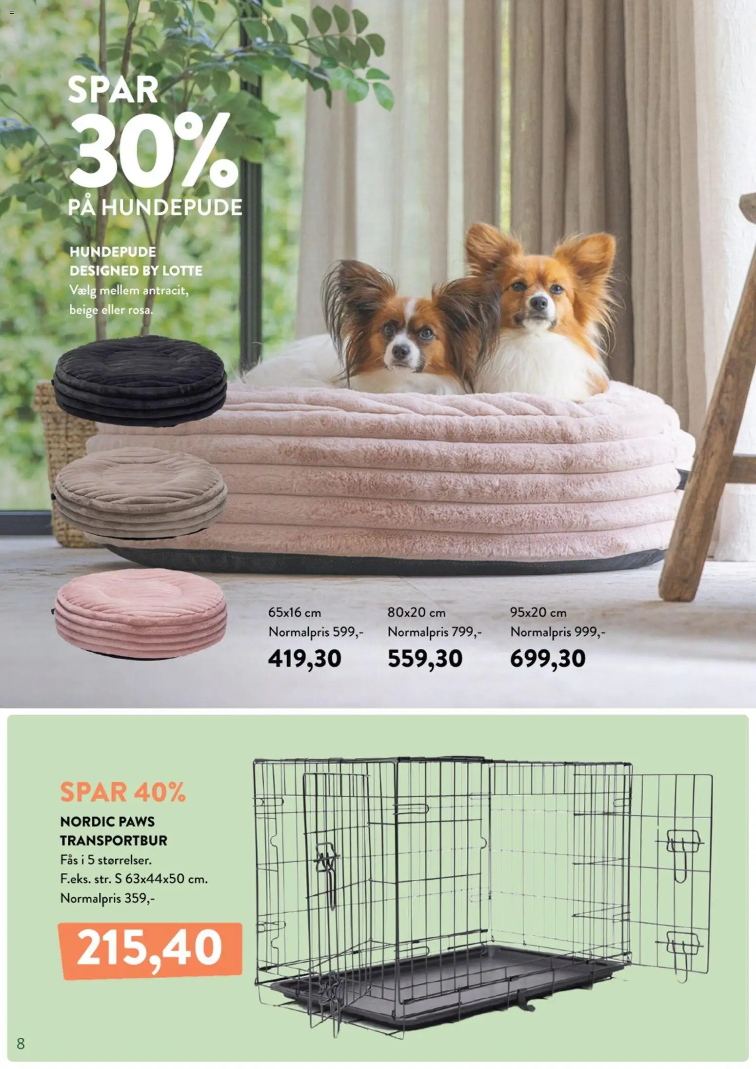 Plantorama tilbudsavis – gyldig fra 06.02.2026 | Side: 8