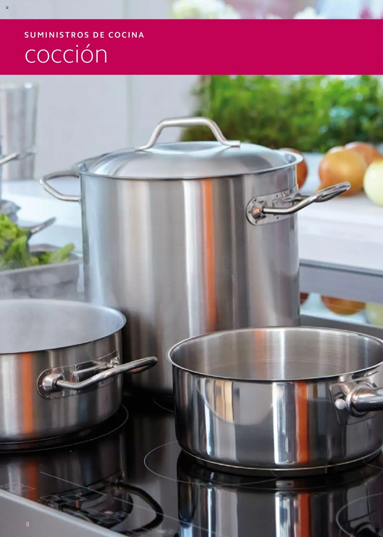 Makro catálogo │ válido desde el 19.06.2024 | Página: 8