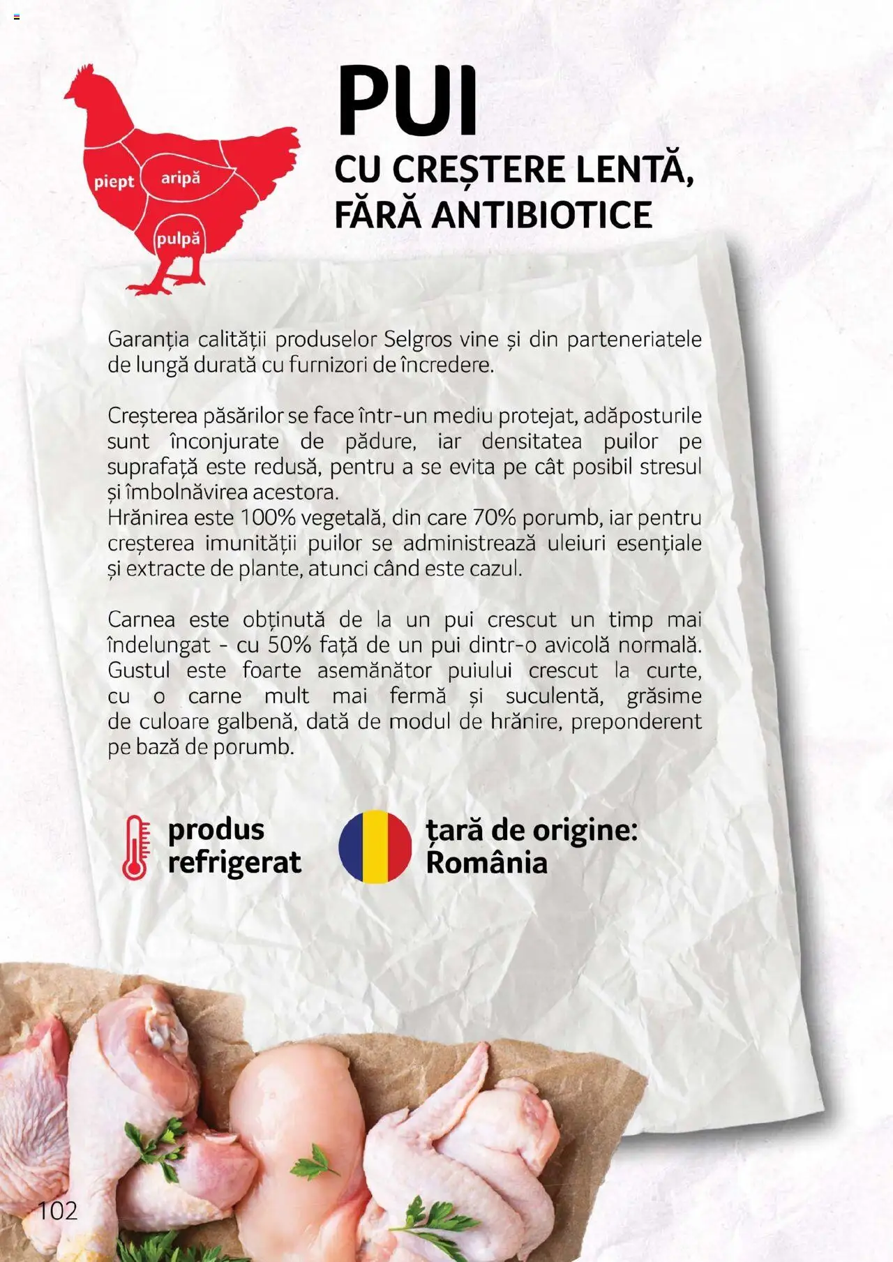 Noul catalog Selgros – valabil de la 27.04.2023 | Pagină: 102 | Produse: Hacıyatmaz Kedi Oyuncağı