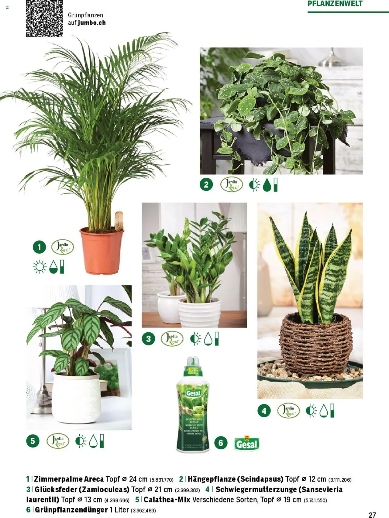 Jumbo Aktionen Dein Garten 2025 ab 21.02.2025 | Seite: 27