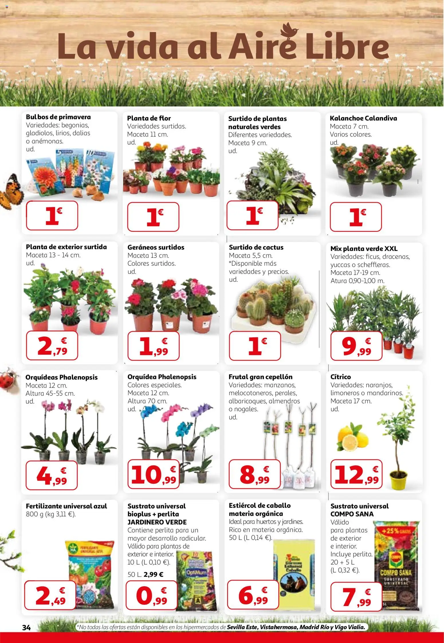 Alcampo - HG Madrid Unificado │ válido desde el 26.02.2026 | Página: 34 | Productos: Maceta