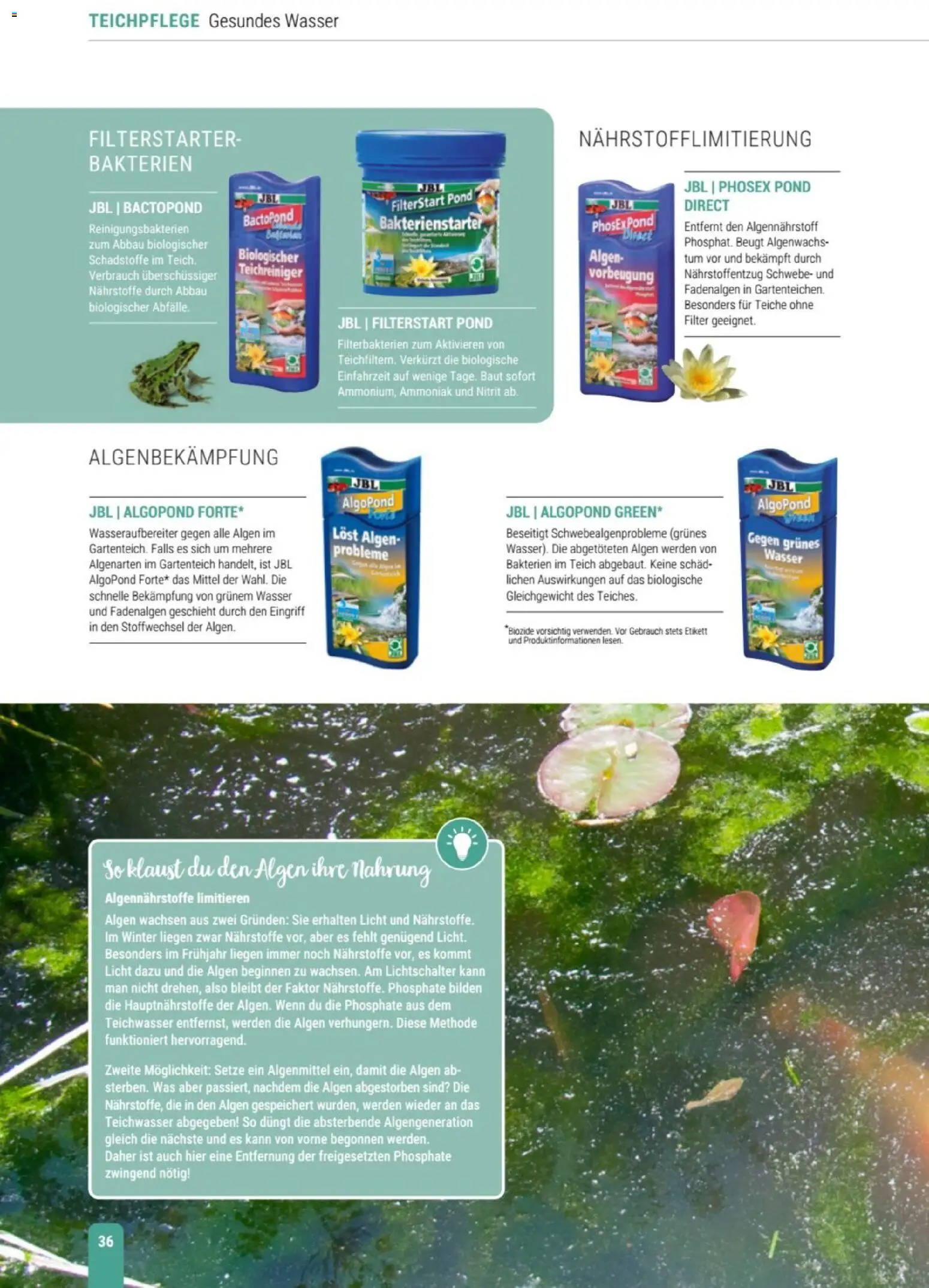 zookauf Themenkatalog Teich – gültig ab 23.03.2026 | Seite: 36 | Produkte: Wasser