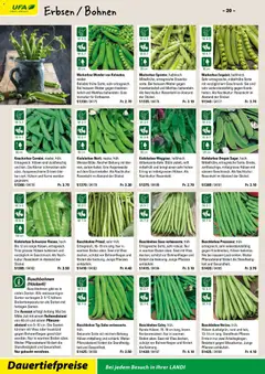 Landi ( Deaktivovane pre Letakomat )  Aktionen ab 07.01.2026 gültig | Seite: 22