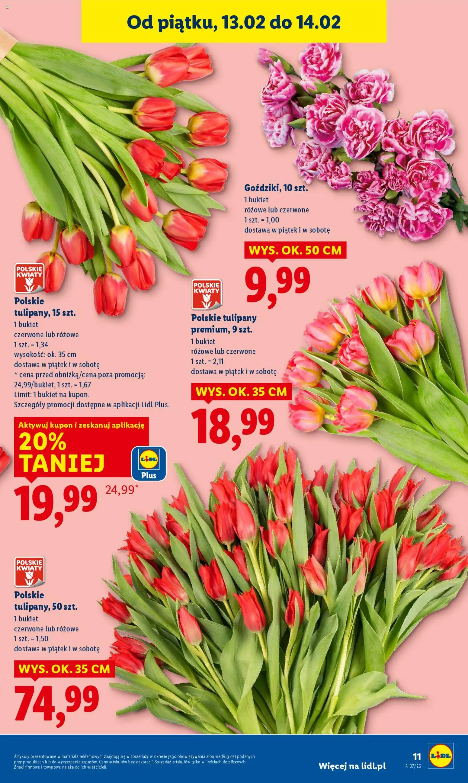 Lidl Gazetka od 12.02.2026 | Strona: 11 | Produkty: Tulipany, Kwiaty
