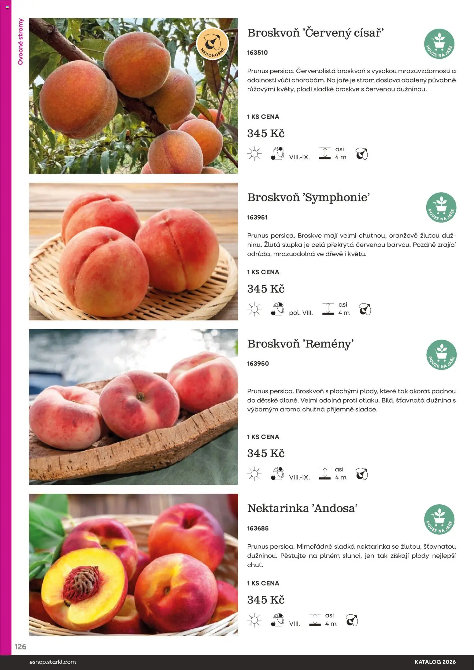 Starkl katalog od 25.02.2026 | Strana: 126 | Produkty: Broskve