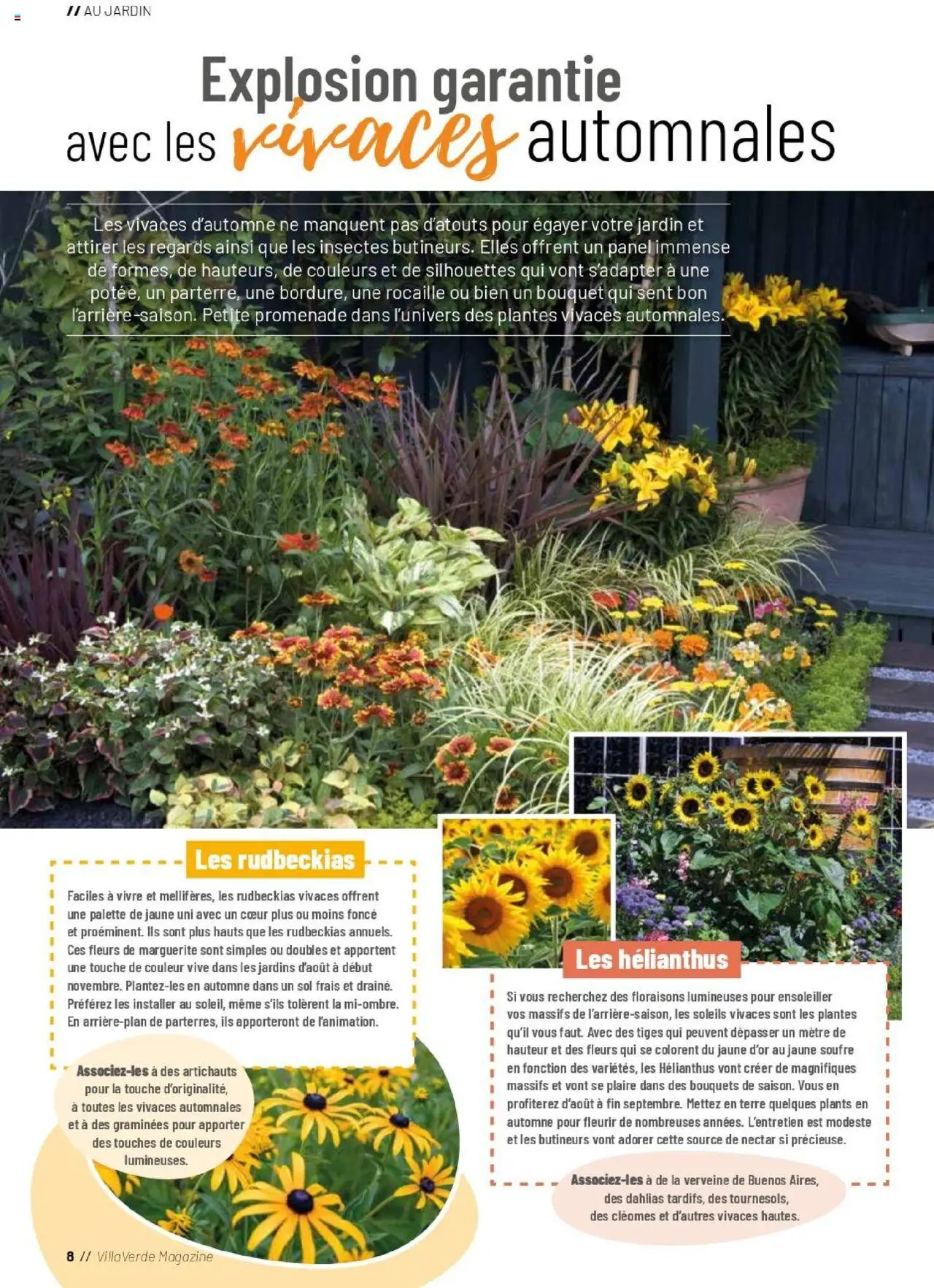  | Page: 8 | Produits: Plantes, Mètre, Magazine