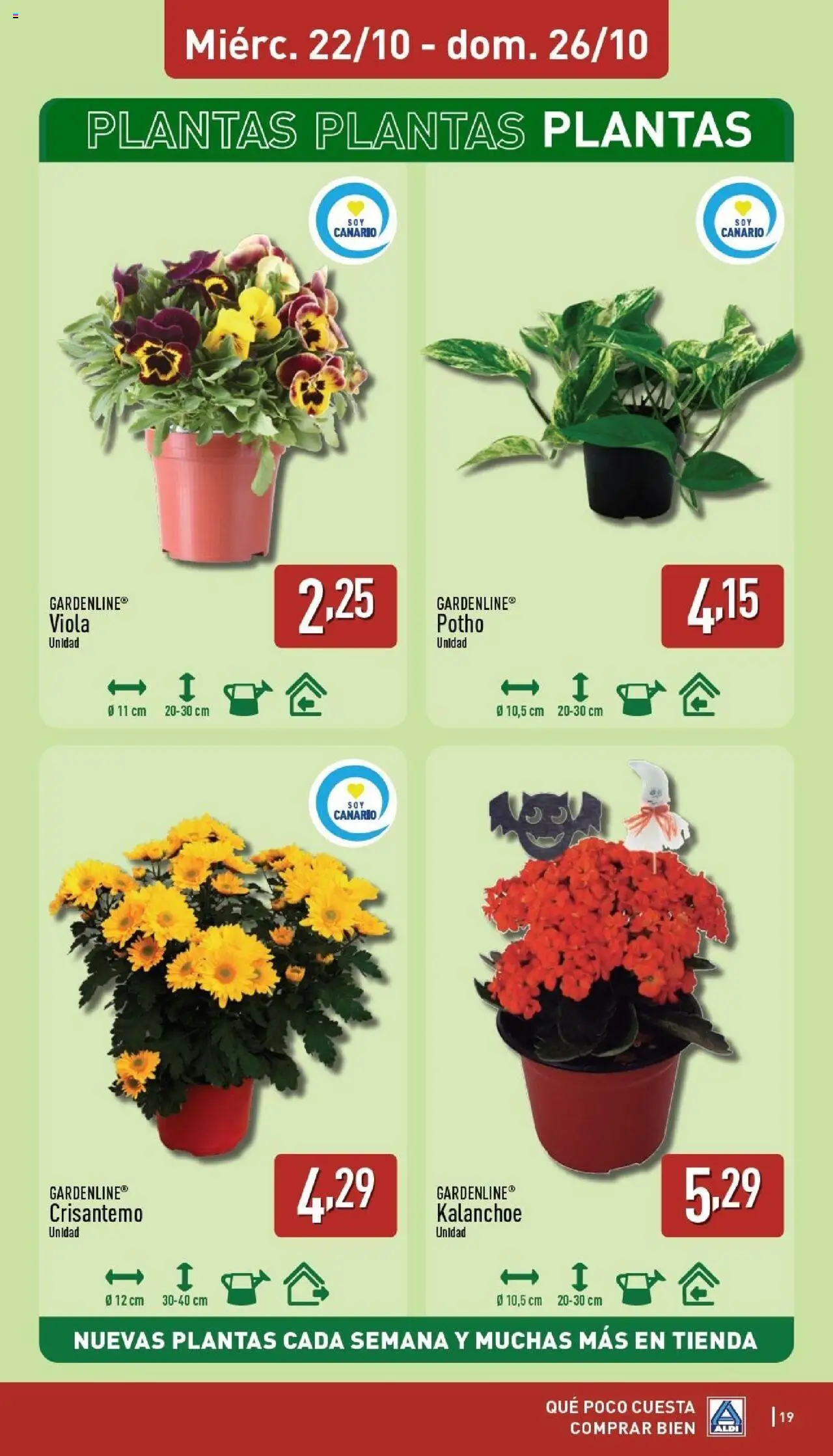 Aldi folleto Canarias │ válido desde el 20.10.2025 | Página: 19