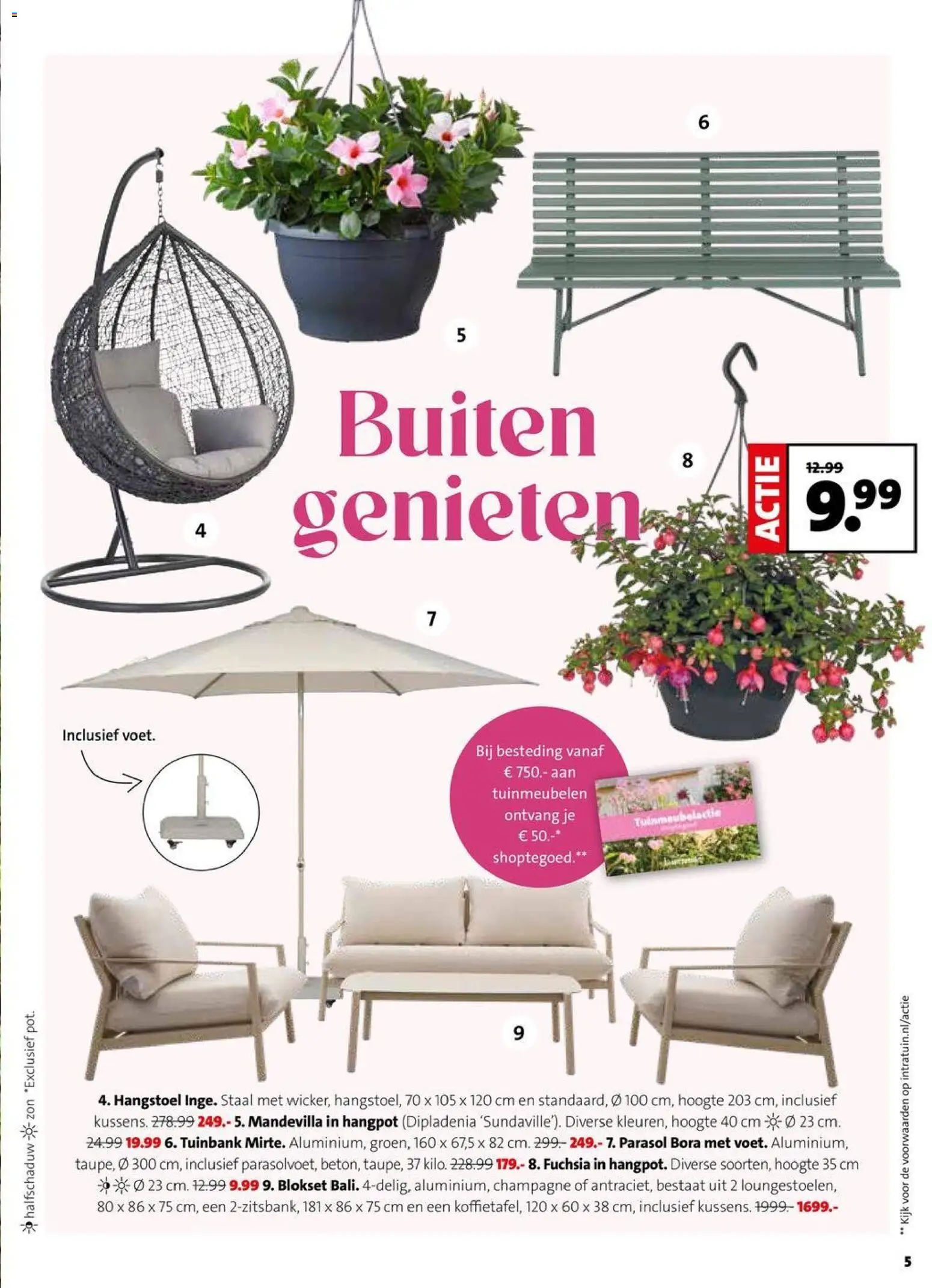 {H1} | Pagina: 5 | Producten: Torta