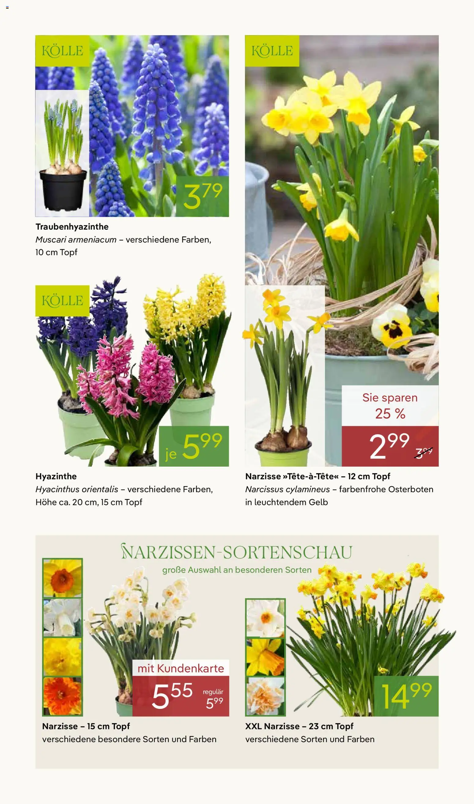 Pflanzen-Kölle Prospekt 	 – gültig ab 16.03.2026 | Seite: 3
