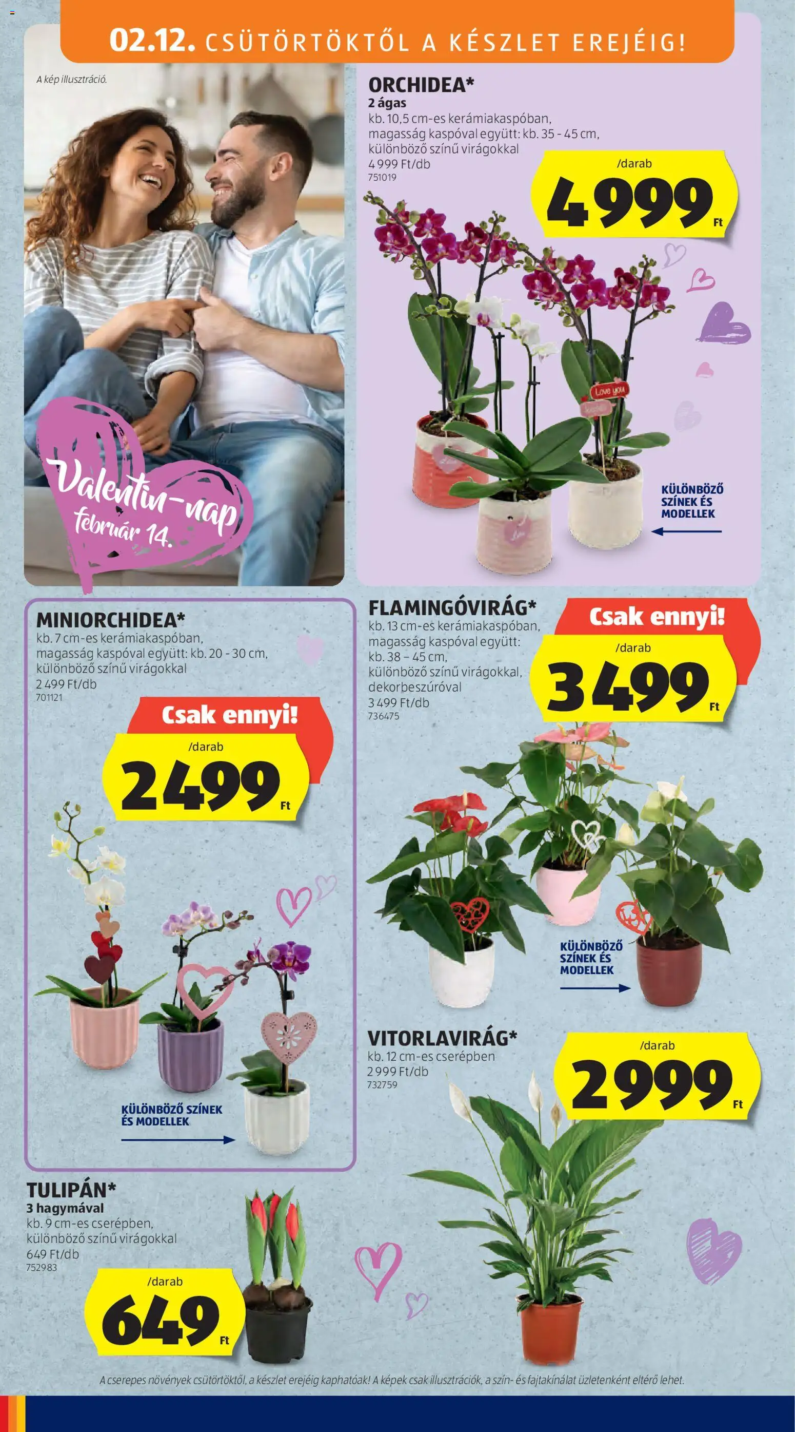 Aldi akciós ujság - amely érvényes a következő dátumtól: 12.02.2026 | Oldal: 6