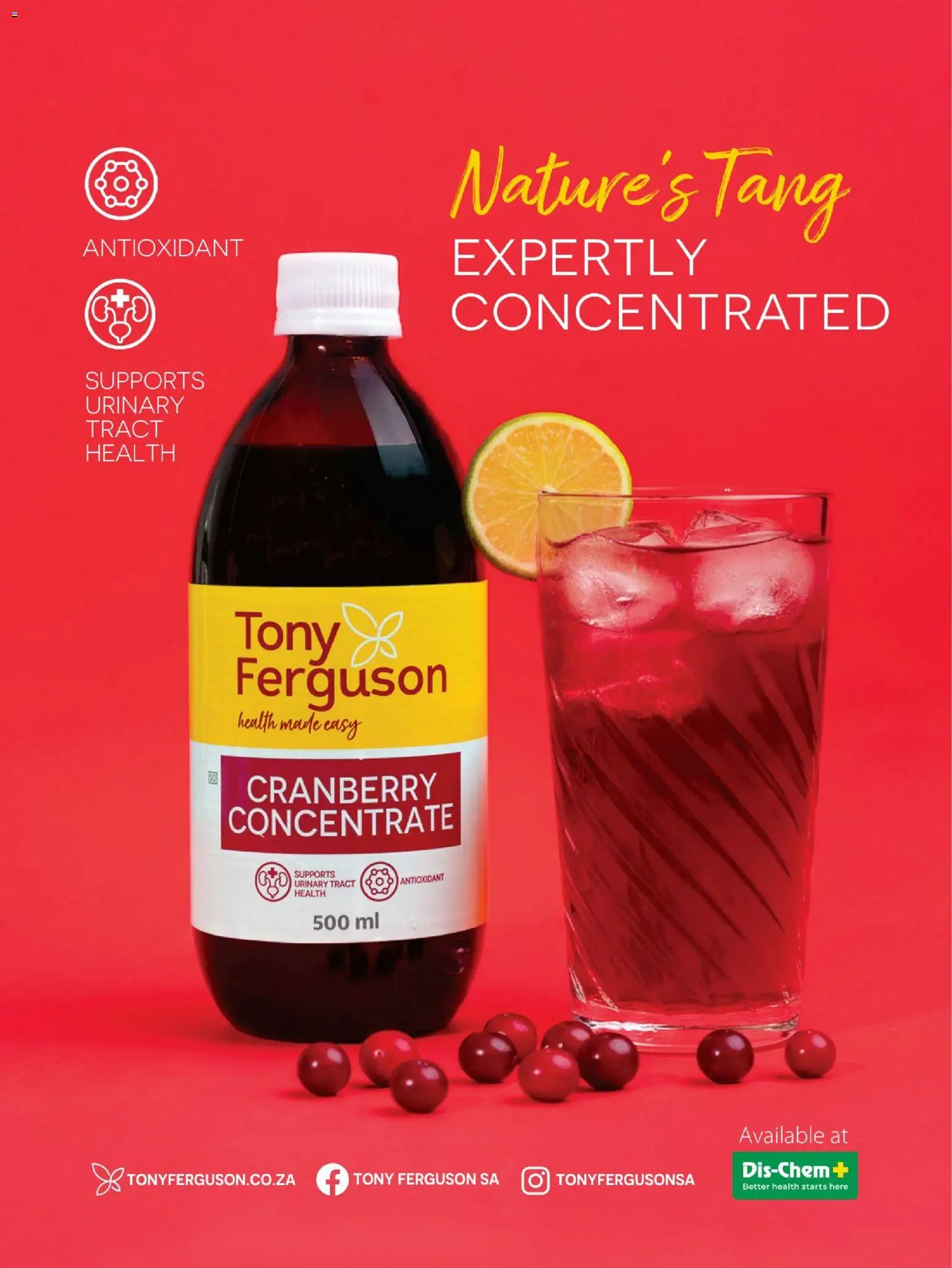 New Dis-Chem catalogue – valid from 26.11.2025 | Page: 41