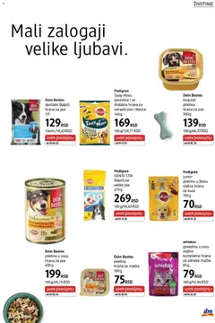 whiskas govedina u sosu, vlažna kompletna hrana za odrasle mačke 85 g - pregled DM Drogerie kataloga - važi od 01.02.2026 | Strana: 39