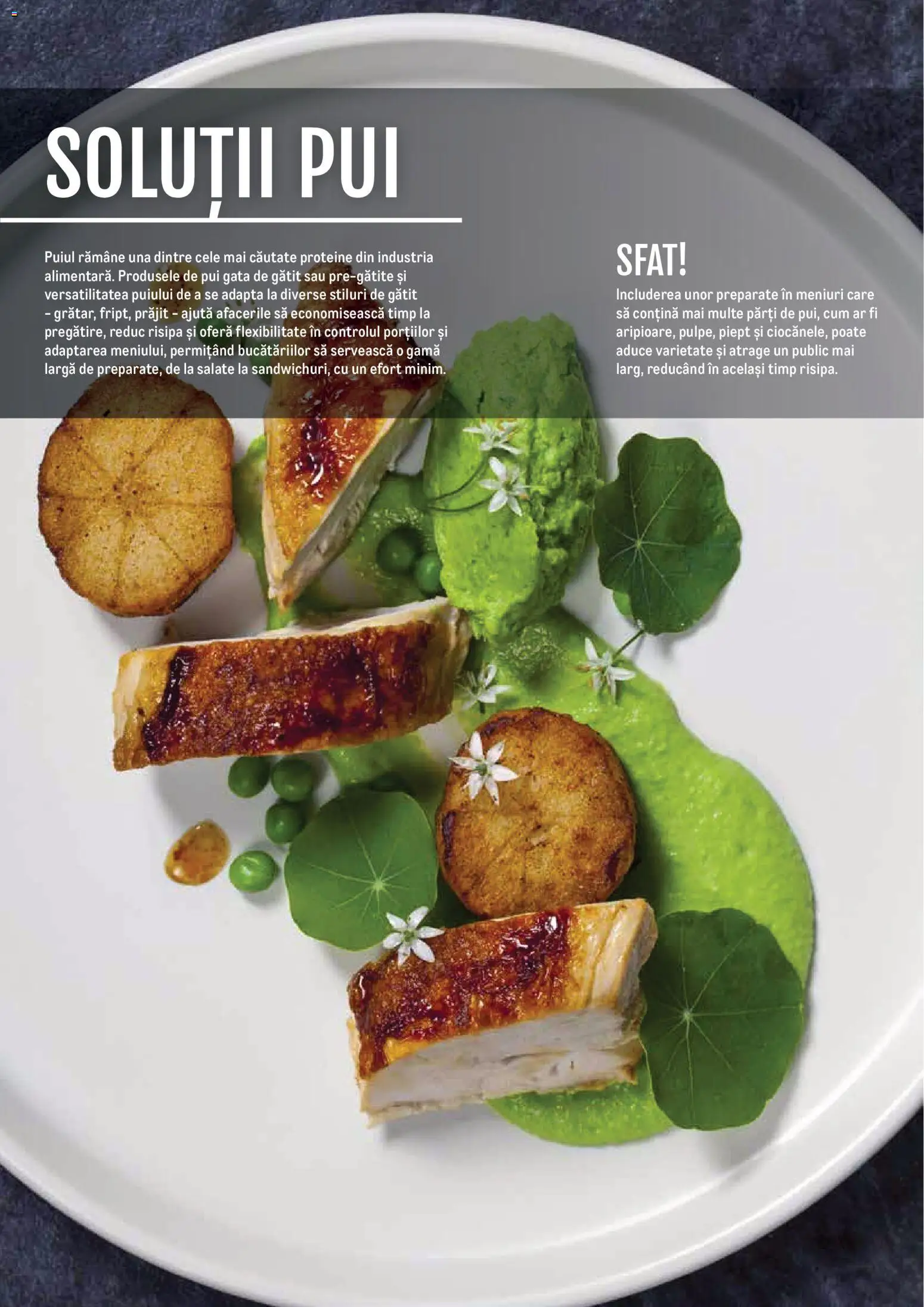 Noul catalog Metro – valabil de la 14.11.2024 | Pagină: 58 | Produse: Masaüstü kılıfı, Hacıyatmaz Kedi Oyuncağı