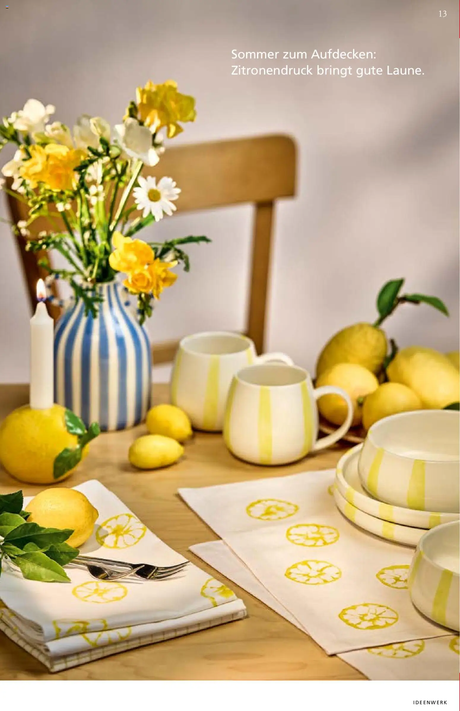 Pagro-Diskont Ideenwerk gültig ab 01.05.2026 | Seite: 13