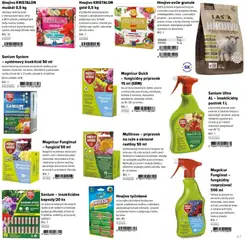 Kinekus leták platný od 02.03.2026 | Strana: 47 | Produkty: Ruže