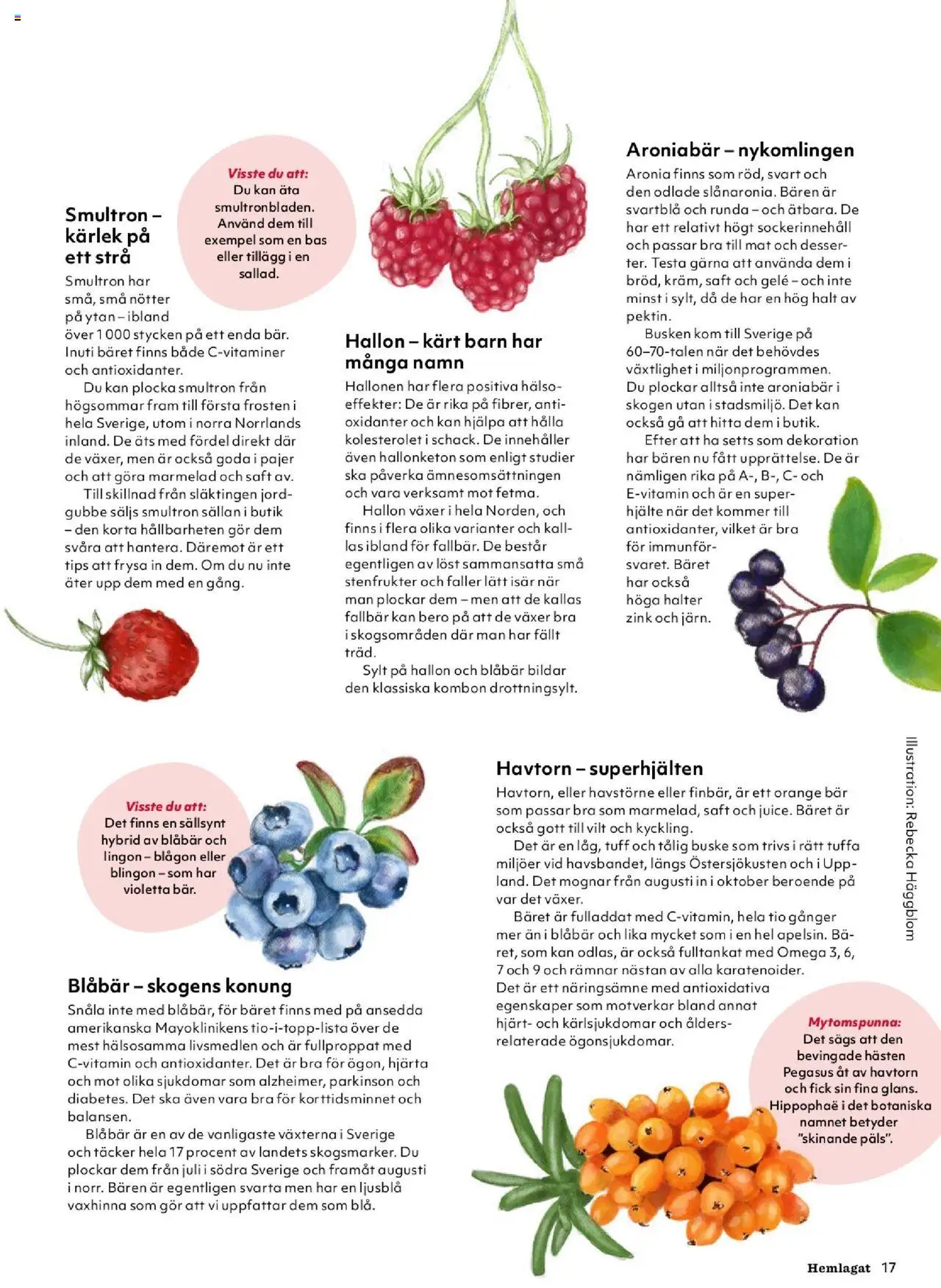 Hemköp reklamblad aktuell från 01.09.2025 | Sida: 17 | Produkter: Jord, Nötter, Hallon, Blåbär