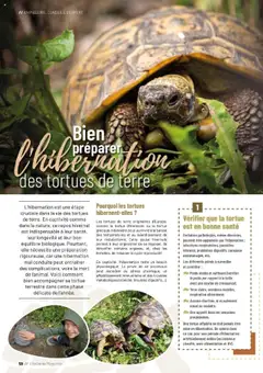 VillaVerde - Prévisualisation de VillaVerde catalogue valide à partir de 19.09.2025 | Page: 58