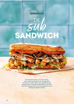 Alvo folder / publicité - Voorbeeld van een folder van Alvo, geldig van 01.01.2026 | Pagina: 72 | Producten: Sandwich, Broodje, Kan