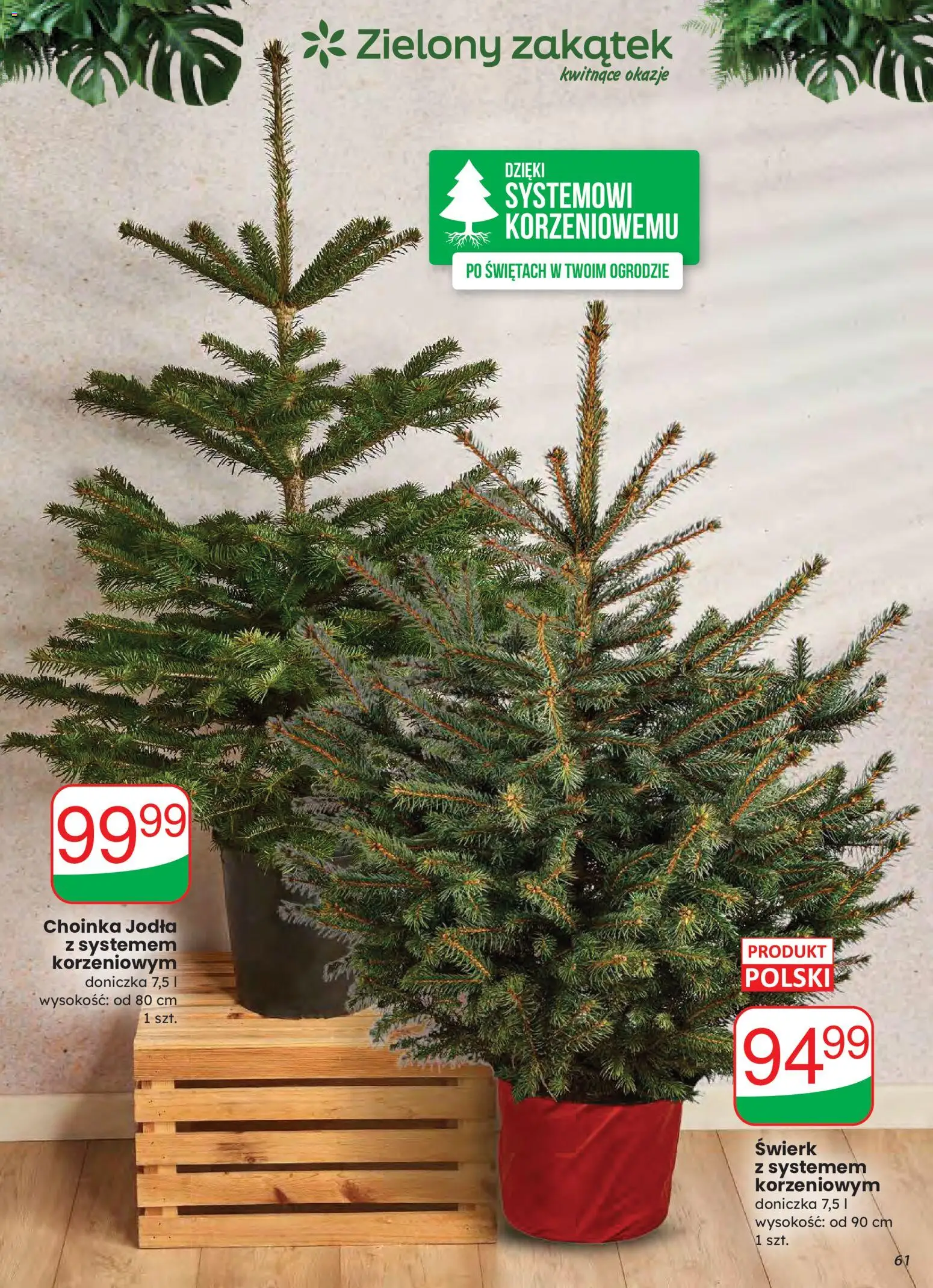 Dino Gazetka od 03.12.2025 | Strona: 61