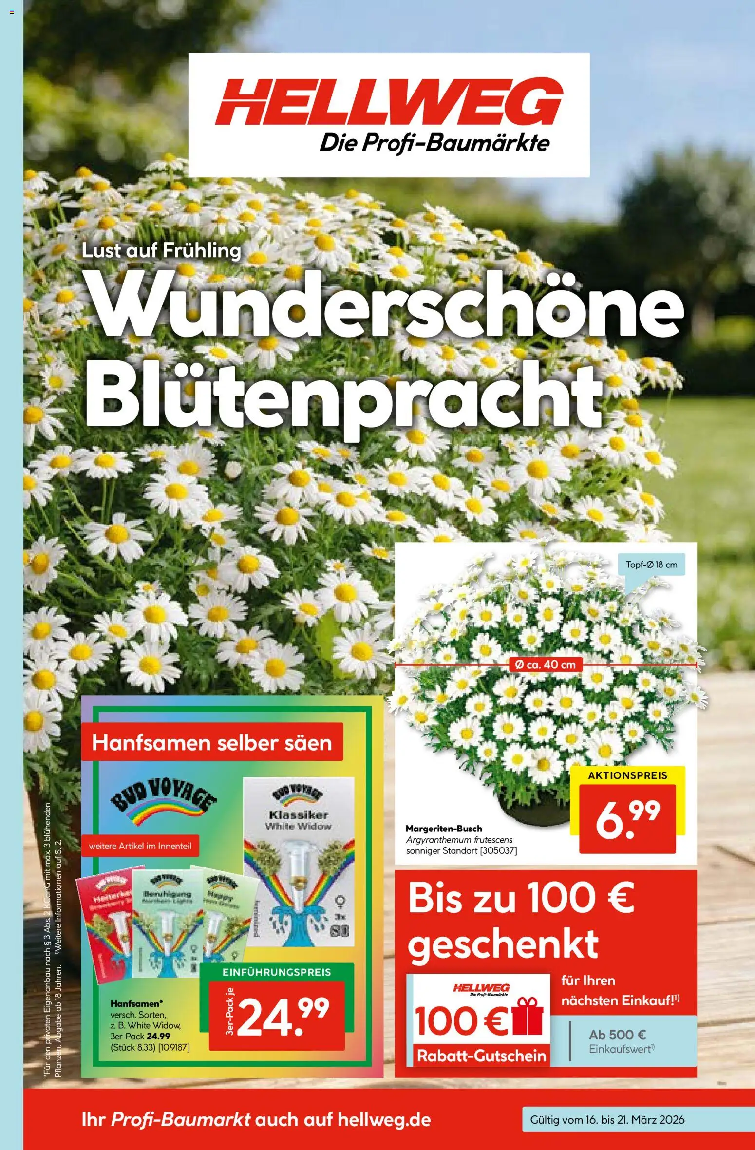 Hellweg Prospekt 	 – gültig ab 16.03.2026 | Seite: 3