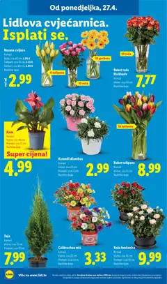 Lidl Katalog - Pregled kataloga iz trgovine Lidl, vrijedi od 27.04.2026 | Stranica: 46