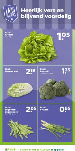  | Pagina: 5 | Producten: Kool, Broccoli, Zak, Szilvabefőtt