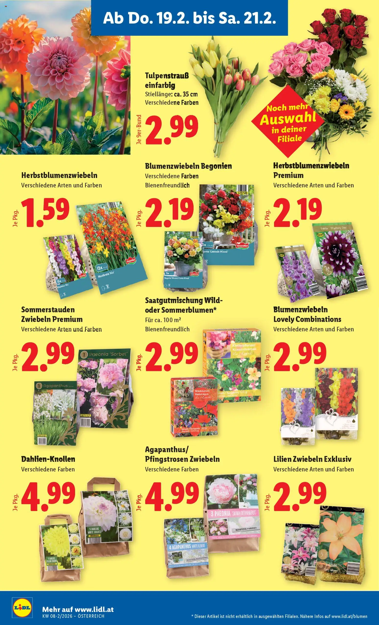 Lidl Flugblatt - Altenmarkt im Pongau, St. Johann im Pongau, Zell am See gültig ab 19.02.2026 | Seite: 24