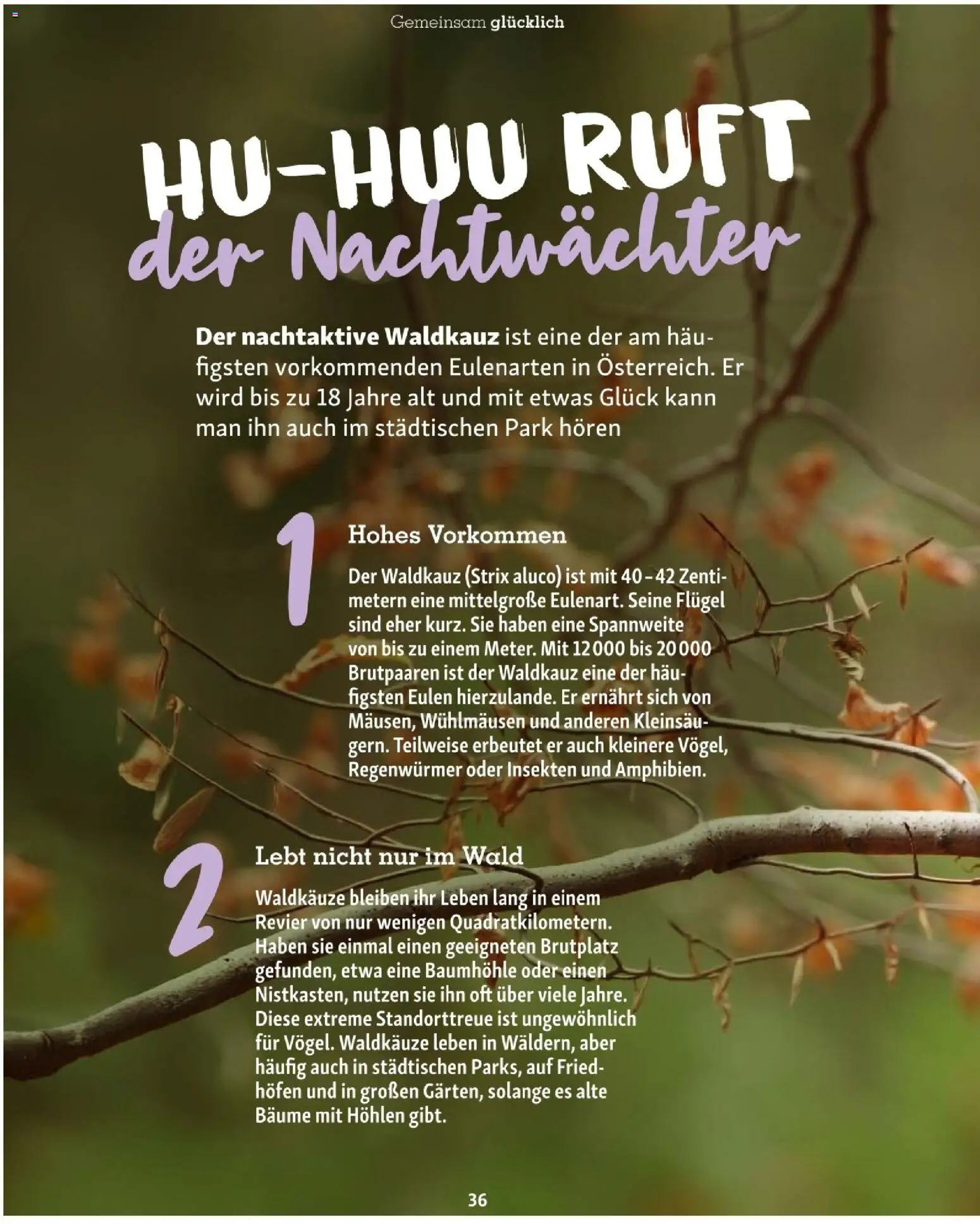 Fressnapf Friends 06/25 gültig ab 01.11.2025 | Seite: 36