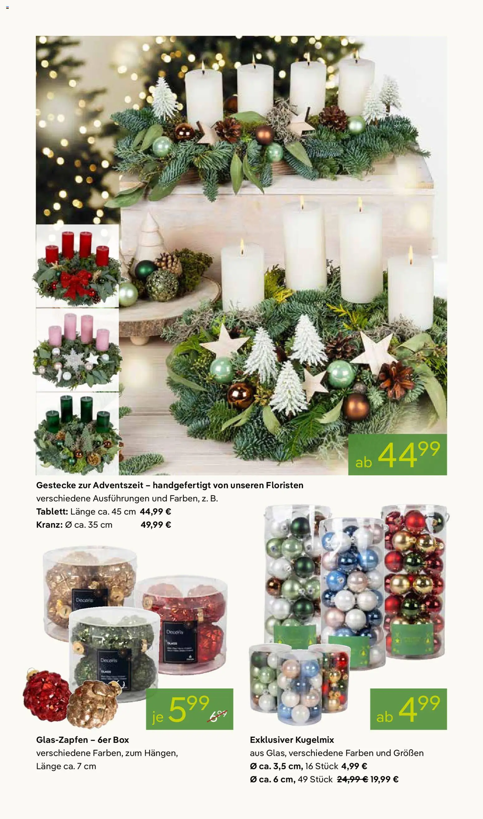 Pflanzen-Kölle Prospekt 	 – gültig ab 17.11.2025 | Seite: 4 | Produkte: Box